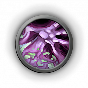 Démoniste wow pvp